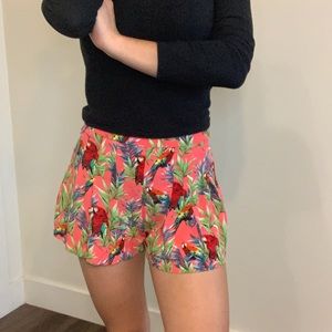 Pink parrot tropical shorts